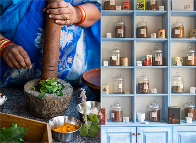 Indian Traditional Medicines