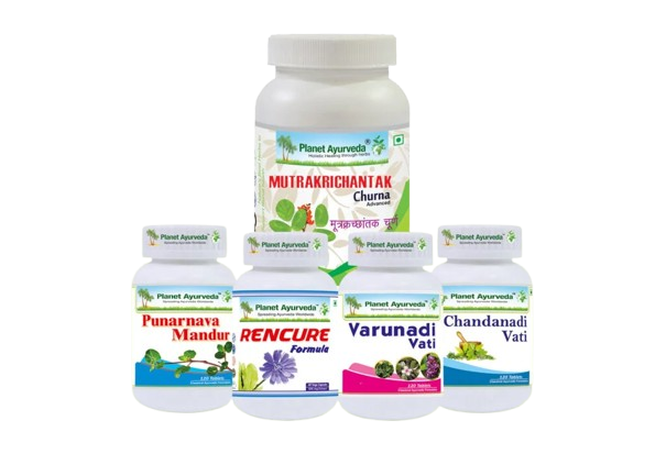 Chronic Kidney Disease (CKD): Symptoms & Ayurvedic Management
Buy Now Chronic Kidney Disease (CKD): Symptoms & Ayurvedic Management