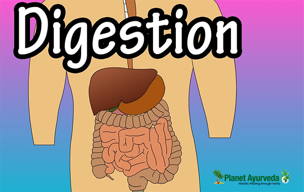 Healthy Tips to Improve Digestion During Summer