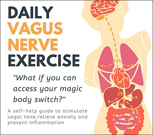 Vagus Nerve Ayurveda and Vagus Nerve