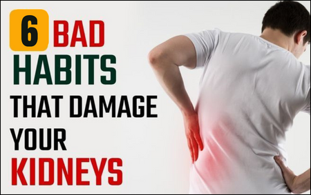 Top-6-Kidney-Damaging-Habits Top-6-Kidney-Damaging-Habits