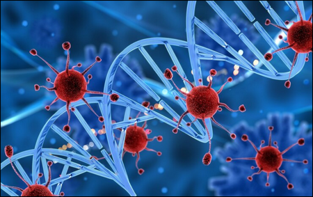 Cancer Cells Cancer Cells