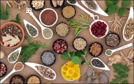 Ayurvedic Herbs for Nurturing Liver Ayurvedic Herbs for Nurturing Liver