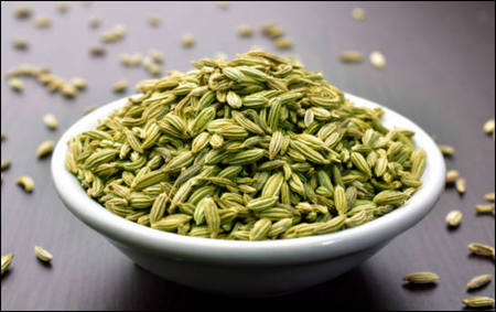 Fennel Seeds Fennel Seeds